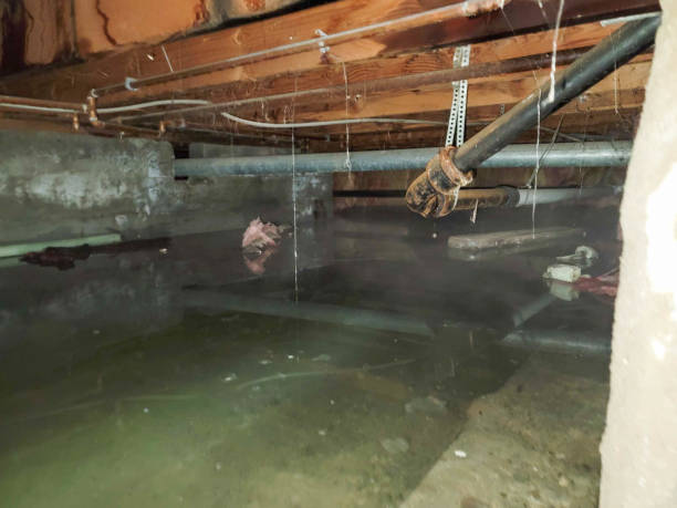 Best Emergency water damage restoration  in Mill Creek, WA