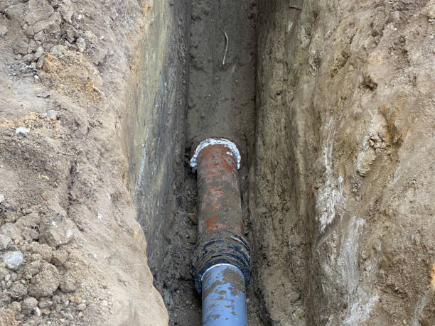 Best 24/7 water damage repair  in Mill Creek, WA