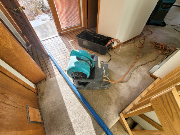 Best Water damage cleanup near me  in Mill Creek, WA