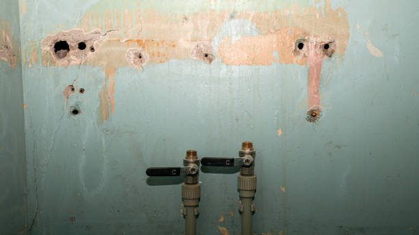 Best Residential water damage restoration  in Mill Creek, WA