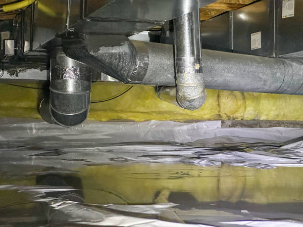 Best Water damage contractors near me  in Mill Creek, WA