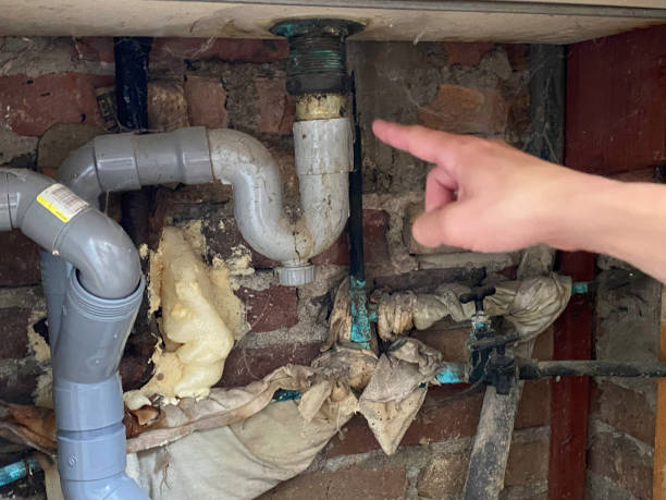 Best Flooded house restoration  in Mill Creek, WA