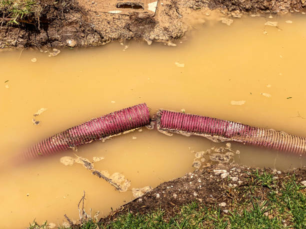 Water damage restoration mold remediation in WA